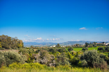 Obraz premium Landscape with trees, meadows and mountains at the northwest coast of Cyprus. In the distance the town of Polis 