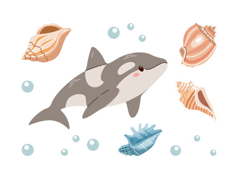 Sea animals. Hand-drawn sea killer whale and shells. Vector doodle cartoon set of marine life objects. Flat illustration on white background. Collection for stickers.