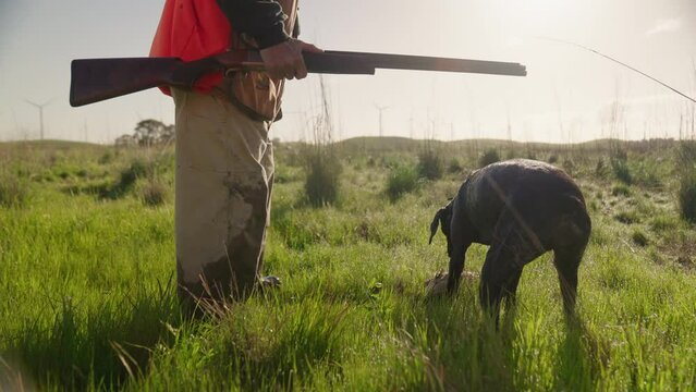 Two Men and Dog Hunting Hunt Pheasant Bird with Gun Riffle Shotgun