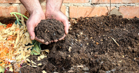 Freshly sifted compost soil to fertilize the garden