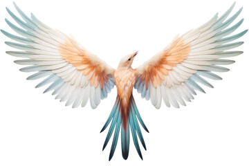 Obraz premium White and Orange Bird Spreading Wings. On a White or Clear Surface PNG Transparent Background..