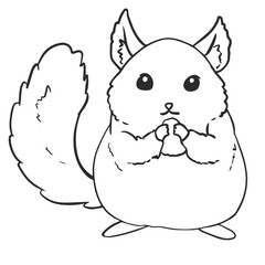 Chinchilla Pet Coloring