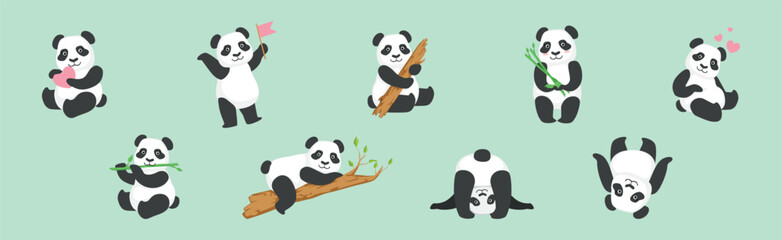 Funny Panda Animal with Black and White Coat Vector Set