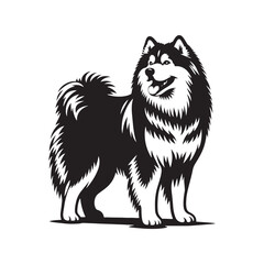 Siberian Husky Silhouette: Majestic Canine Profile in Graceful Motion- Siberian Husky black vector stock.