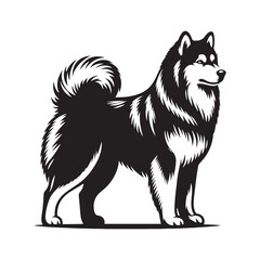 Siberian Husky Silhouette: Majestic Canine Profile in Graceful Motion- Siberian Husky black vector stock.