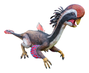 Citipati is a genus of oviraptorid dinosaur that lived in Asia during the Late Cretaceous period