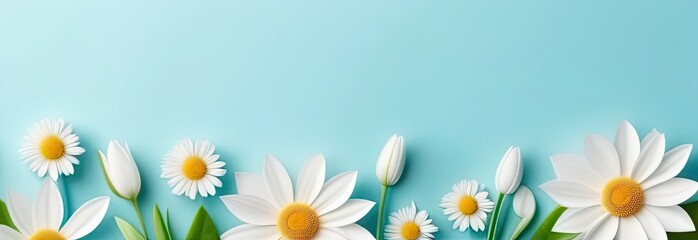 Floral banner with spring flowers on blue background with space for text