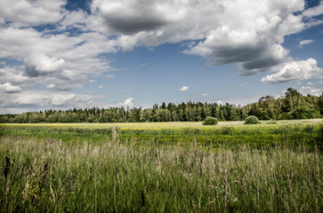 Summer landscape with green meadow and blue sky with white clouds.