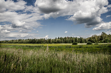 Summer landscape with green meadow, forest and blue sky with clouds