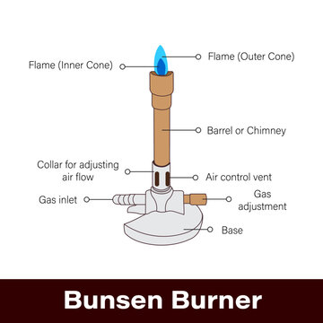 Bunsen Burner Bunsen Burner Labeled Diagram
