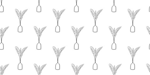 Seamless botanical Pattern in outline style. Leaves in pot nature illustration. Vector design room elements in black and white color