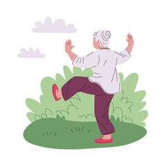 Vector of Tai Chi classes for older women. Peaceful outdoor exercise.