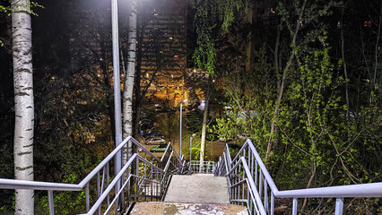 Illuminated Outdoor Staircase Winding Through a Forested Area at Night. Stairs lit by lights in darkness surrounded by trees