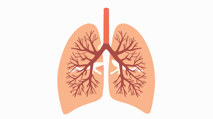 Human Lungs Inside Anatomy Flat vector isolated on white