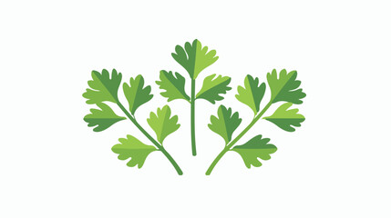 Icon Parsley. related to Herbs and Spices symbol