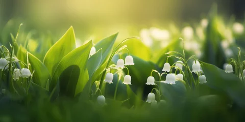 Foto auf Alu-Dibond Spring background with lily of the valley flowers. Beautiful floral background for decoration, banner and greeting card for Birthday, Mother's Day, Women's Day, Wedding © maxa0109