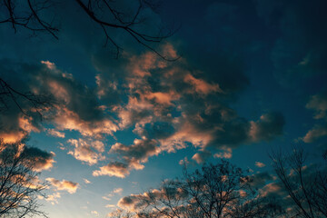 Beautiful sunset sky with clouds seen through bare tree branches