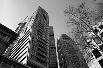 Frankfurt am Main Skyline Black & White Skyscraper