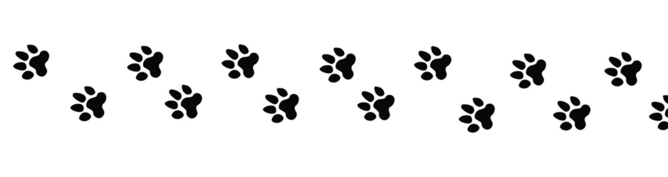 Paw vector foot trail print of cat. Dog, puppy silhouette animal diagonal tracks for t-shirts, backgrounds, patterns, websites, showcases design, paw logo icon . dog or cat paw. eps10