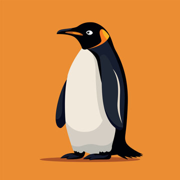penguin flat vector illustration