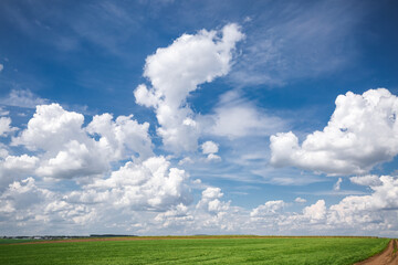 A gorgeous cumulus clouds over the horizon on a sunny summer day.
