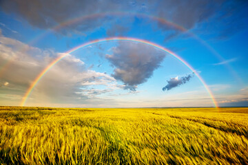 Gorgeous agricultural landscape with a magical rainbow at sunset.
