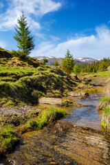 shallow water stream through the valley of carpathian mountains. borzhava range in the distance. rural landscape of ukraine on a sunny day in spring - 772940897