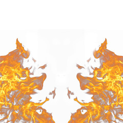 Natural Fire flame isolated on white background 