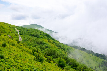 alpine scenery of ukrainian carpathian mountain smooth also called runa. stunning landscape beneath an overcast sky in summer - 772942451