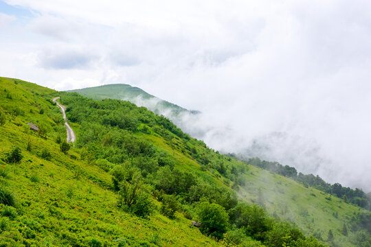 alpine scenery of ukrainian carpathian mountain smooth also called runa. stunning landscape beneath an overcast sky in summer