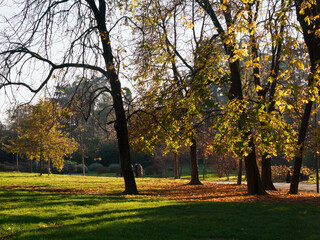 Fototapeta premium Sempione park in Milan, Italy, at fall