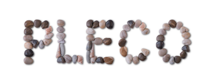 The word "PLECO" is lined with shells and stones of different shapes and colors on a transparent background. Types of fish and seafood, price tag, sea food, fish market, sea alphabet