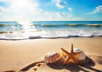 Fototapeta na wymiar Starfish and seashells on sandy beach with sea background.