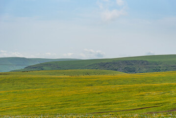 Fototapeta premium Picturesque summer view of Bermamyt plateau in the Karachay-Cherkess Republic.