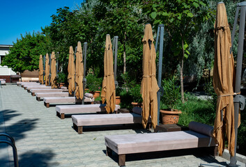 Outdoor sunbeds and umbrellas in a summer garden