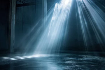  Rays of light penetrating a dark, empty industrial interior. © cherezoff