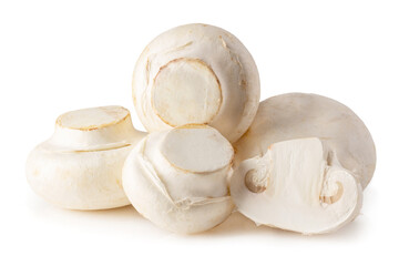 White champignon mushrooms, Champignon Isolated on a White Background.