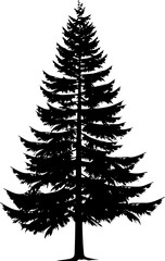 Silhouette of Pine Trees Illustration
