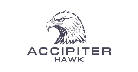 Vector graphic monochrome logo. The head of a brutal hawk. Portrait of accipiter. Heraldic bird. White isolated background.