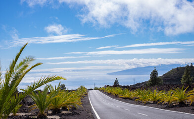 Empty asphalt road in middle of volcanic landscape and small palm trees in Tenerife, canary islands, beautiful horizon over sea and blue sky.