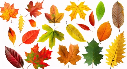 Fall Foliage Frenzy A Seasonal Spectacle of Leaves Generative AI