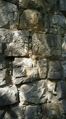 Fototapeta premium Sunlit textured rock wall