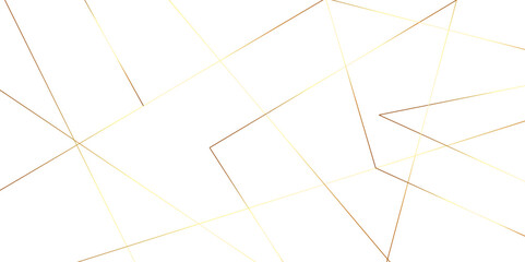 Abstract white background with golden lines Vector.	