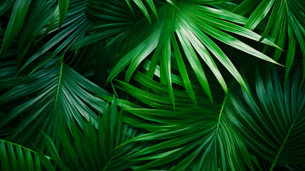 Green leaves on black background