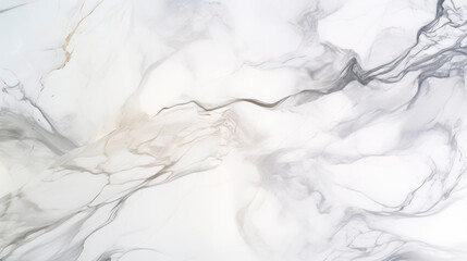 Obraz premium Black and white marble texture design