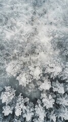 Fototapeta premium Aerial view of frost covered trees in winter
