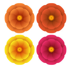 Flowers set. Vector clipart isolated on transparent background.