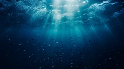 Foto op Aluminium Group of fish swimming in blue ocean close-up © StockKing