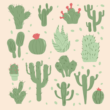 Cactus succulent set. Mexican cacti and aloe square card. Exotic various plants collection Vector hand drawn illustration