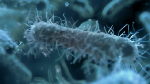 A closeup of a single celled bacteria showcasing the complex and intricate structures within its tiny body. . AI generation.